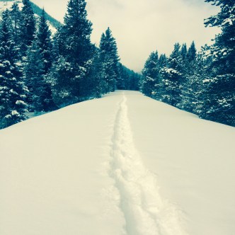 snowshoe4